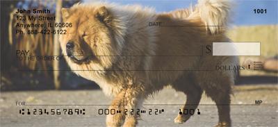 Chow Chow On The Move