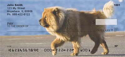 Chow Chow On The Move