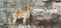 Mountain Goats