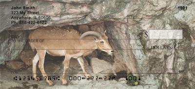 Mountain Goats