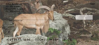 Mountain Goats