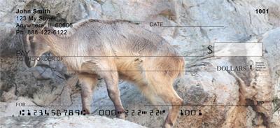 Mountain Goats