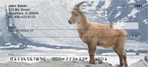 Goats In The Snow