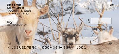 Goats In The Snow