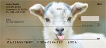 Kid Goats