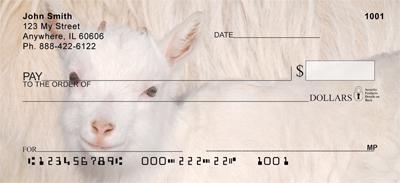 Kid Goats