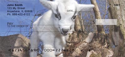Kid Goats
