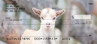 Kid Goats