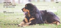 Tibetan Mastiff