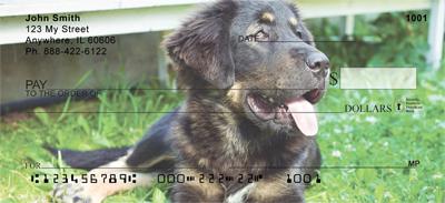 Tibetan Mastiff