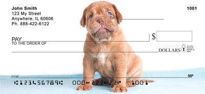 French Mastiff Pups