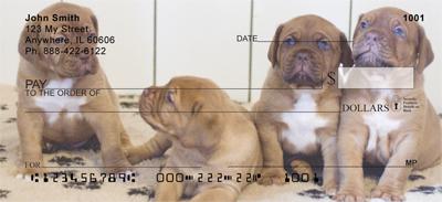French Mastiff Pups