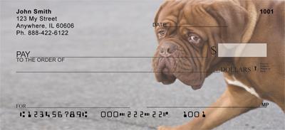 French Mastiff