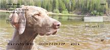 Weimaraner At The Lake