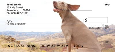 Classic Weimaraners