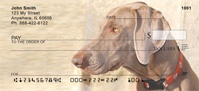 Classic Weimaraners