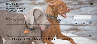 Classic Weimaraners