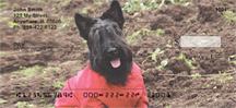 Cute Scotties