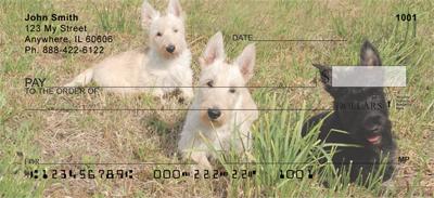 Cute Scotties