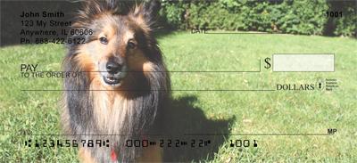 Happy Sheltie
