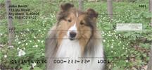 Lovely Shelties