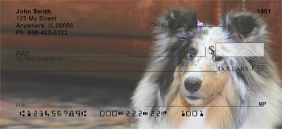 Motley Sheltie