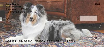 Motley Sheltie
