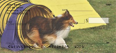 Agile Shelties