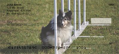 Agile Shelties