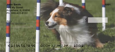 Agile Shelties