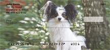Posing Papillons