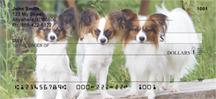 Papillon Pals