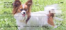Outdoor Papillons