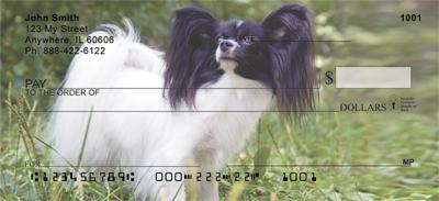 Outdoor Papillons
