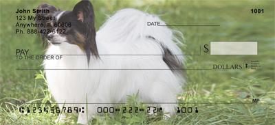 Outdoor Papillons