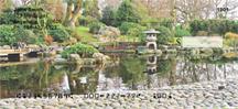 Zen Garden