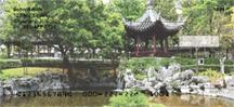Zen Garden