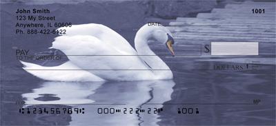 Swans