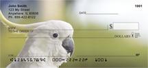Cockatoos