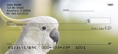 Cockatoos