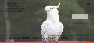 Cockatoos