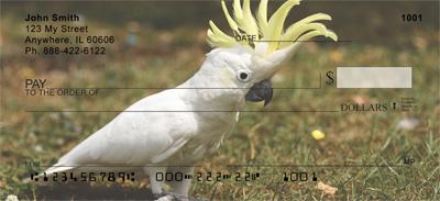 Cockatoos