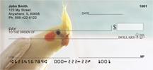Cockatiels