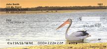 Pelicans