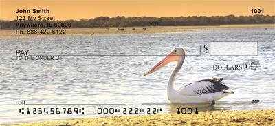 Pelicans