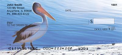 Pelicans