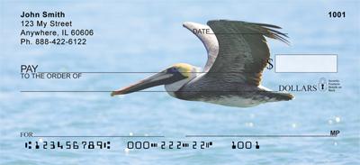 Pelicans