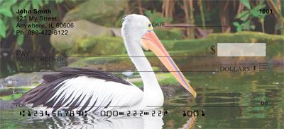 Pelicans