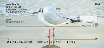 Seagulls