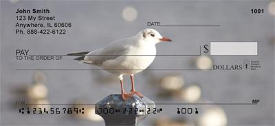 Seagulls